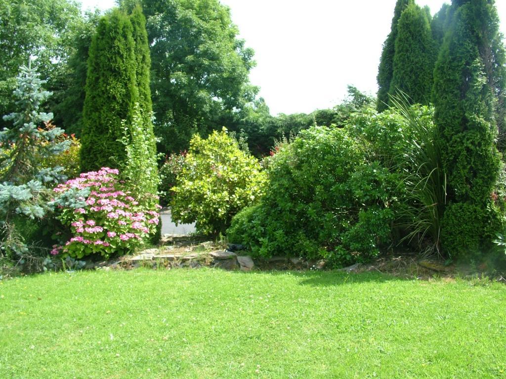 Quarry Ridge B&B Carlow Exterior photo